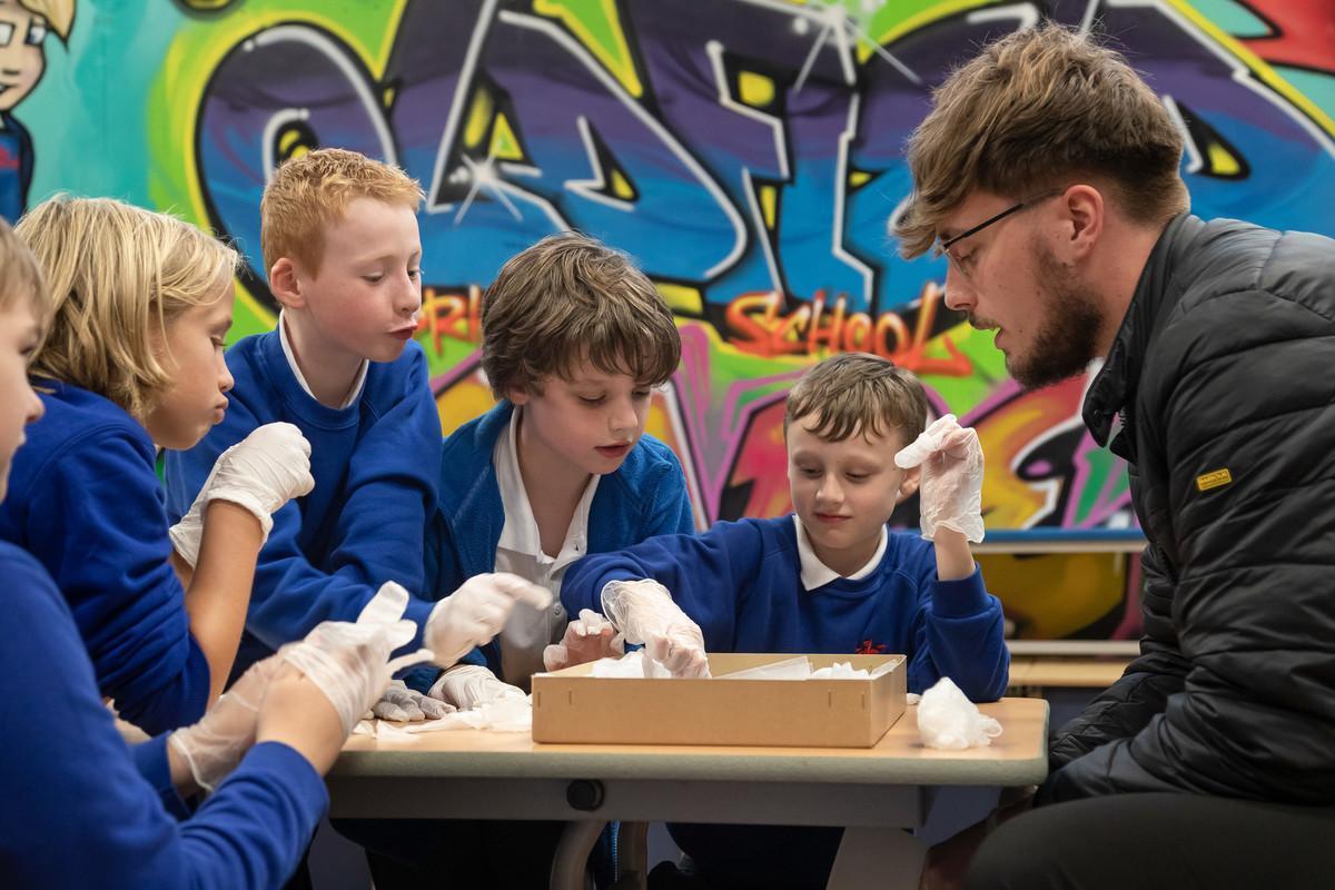 Course image for Early Childhood and Primary Education BA (Hons)