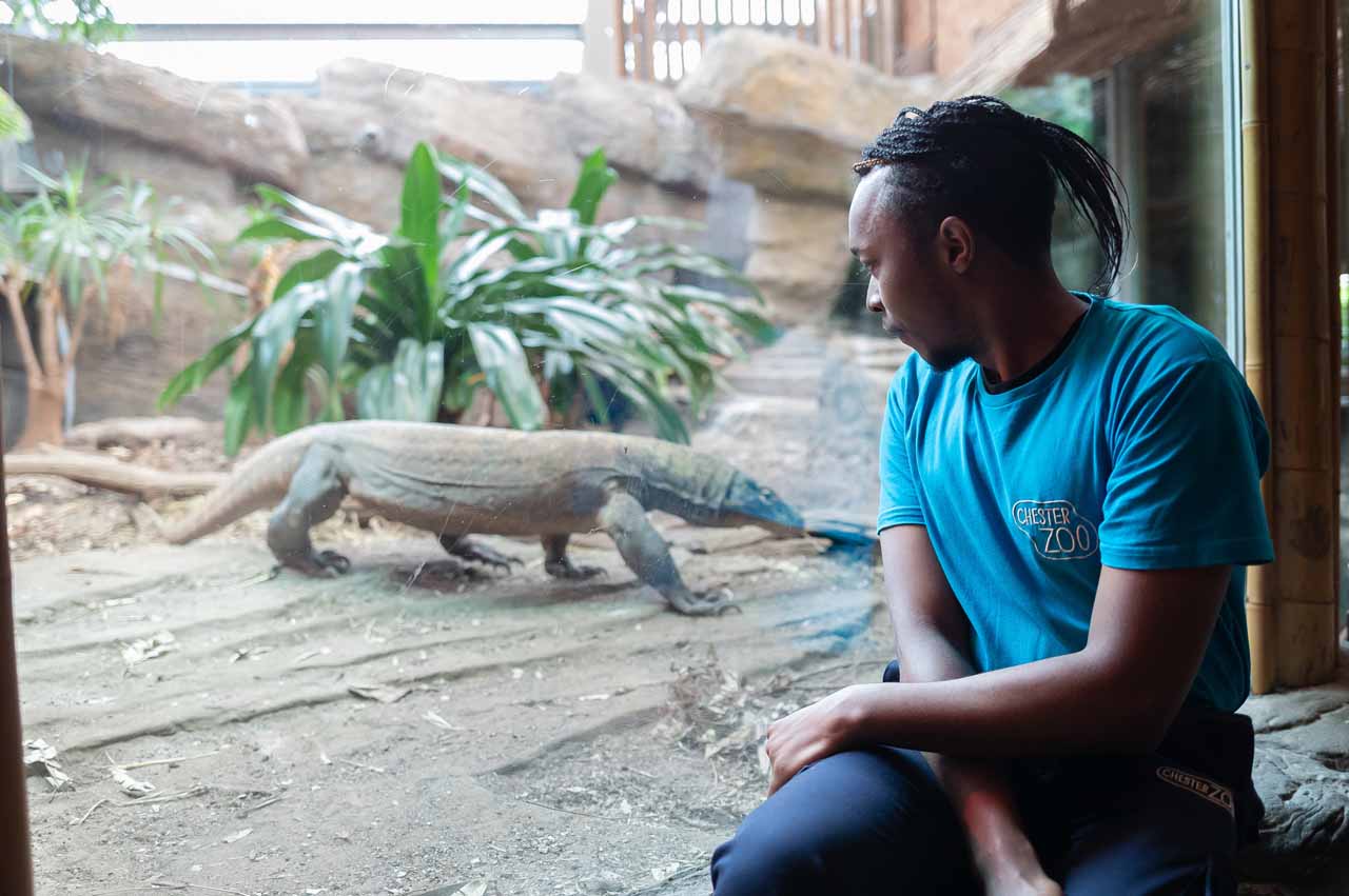 A person wearing a Chester Zoo shirt looks through glass at an animal exhibit