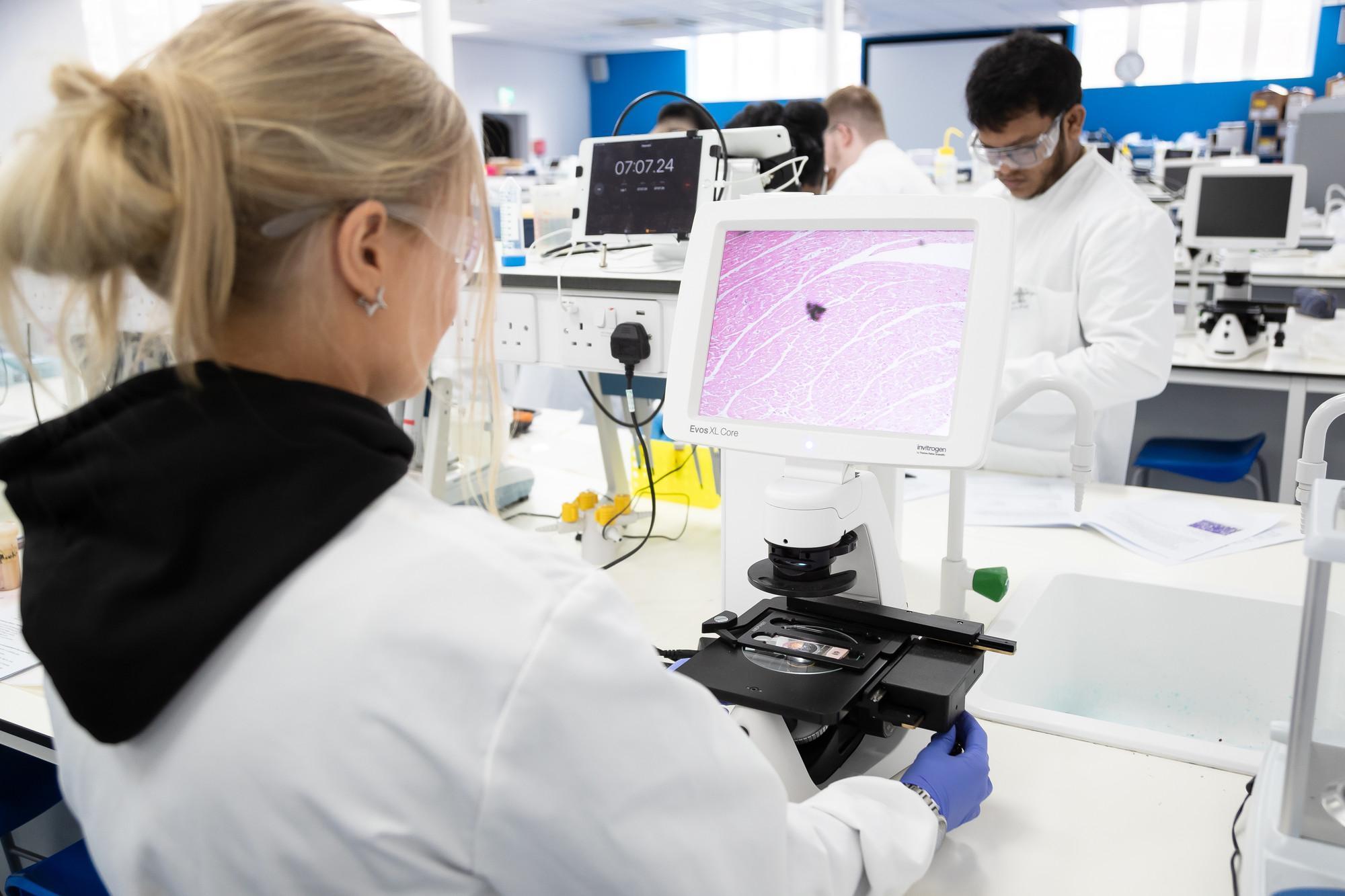 Course image for Stem Cells and Regenerative Medicine MSc