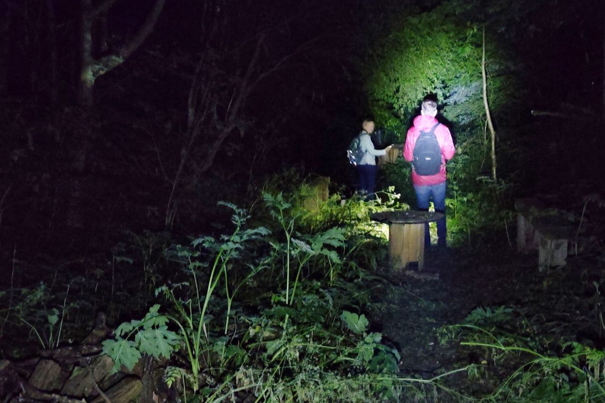 Two people in the dark lighting a torch, studying nature at night.