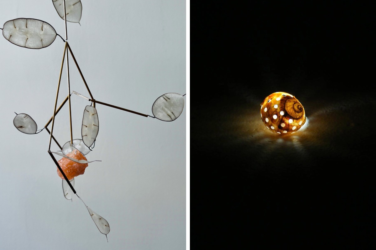 Two images of art pieces. The left image is a hanging display of petal shapes on a wireframe with a small red centrepiece, while the right image is a snail shell emitting light through white holes.