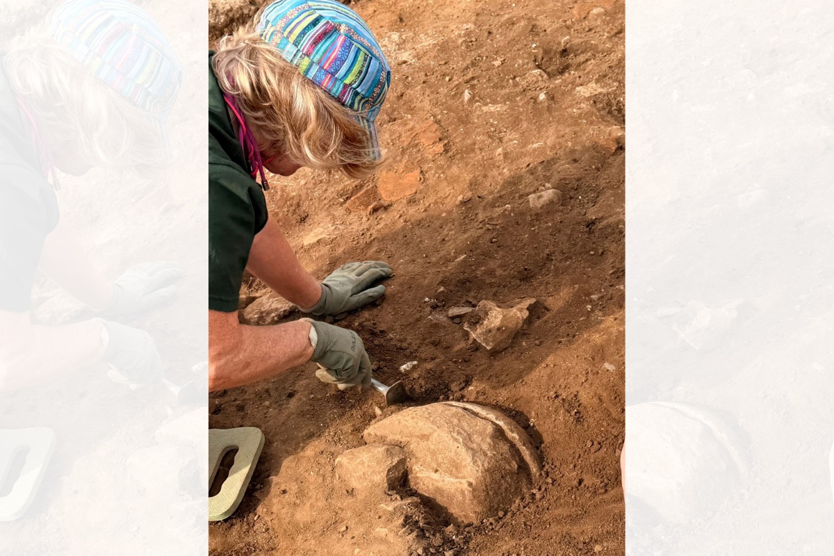 A quern stone being excavated at the site of a dig.