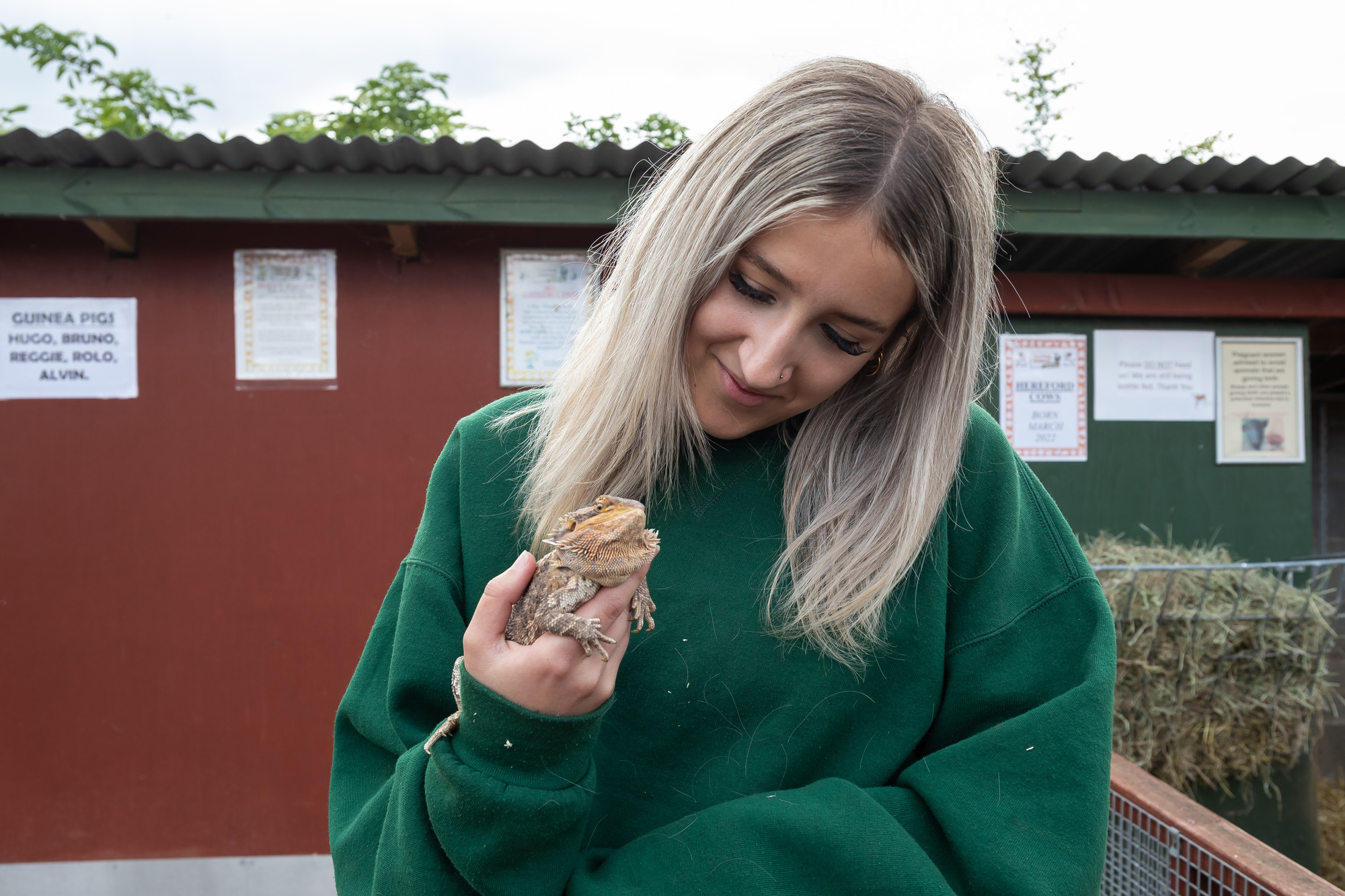 A student in a green jumper looking down at an iguana.