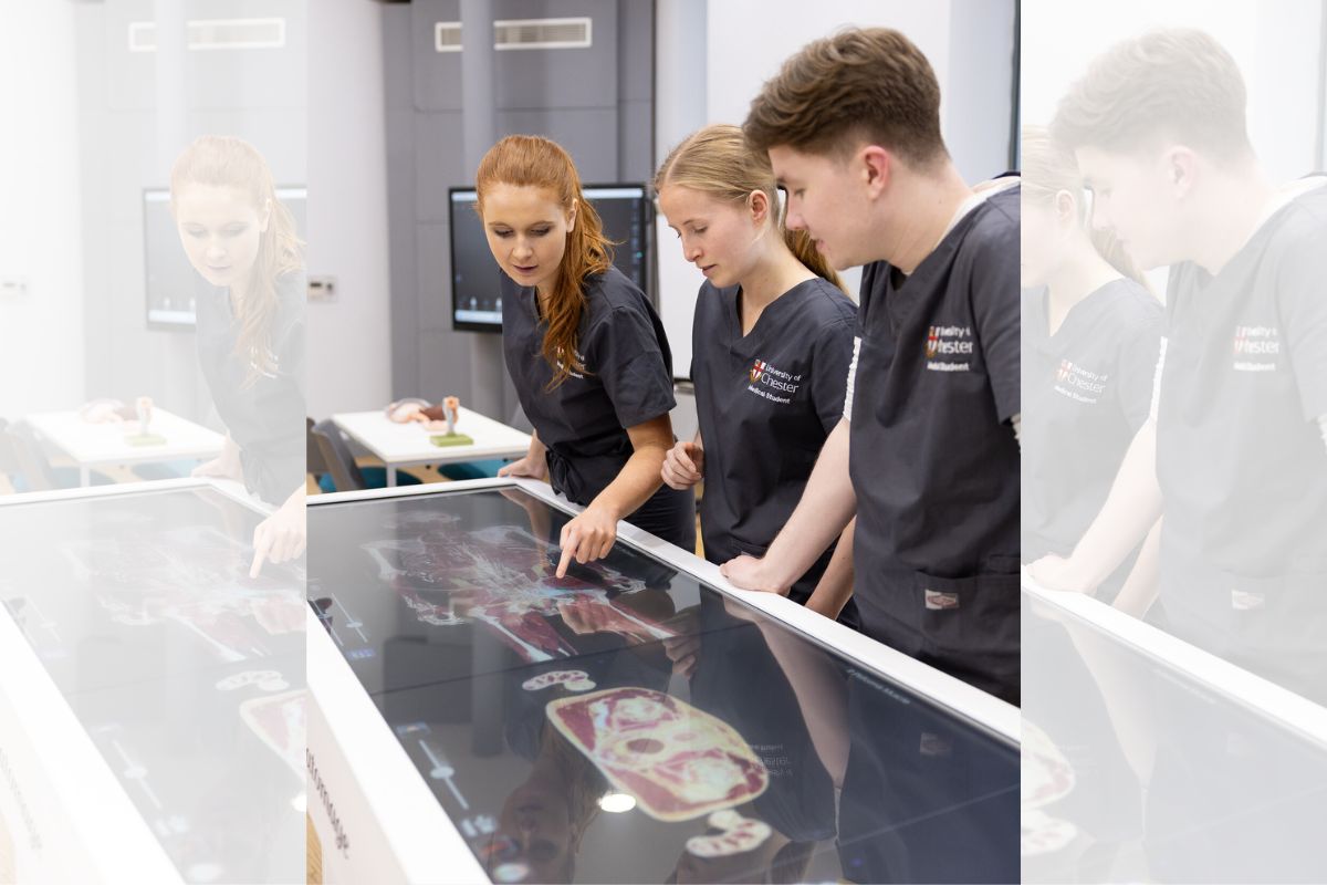 Students at an interactive anatomy table.