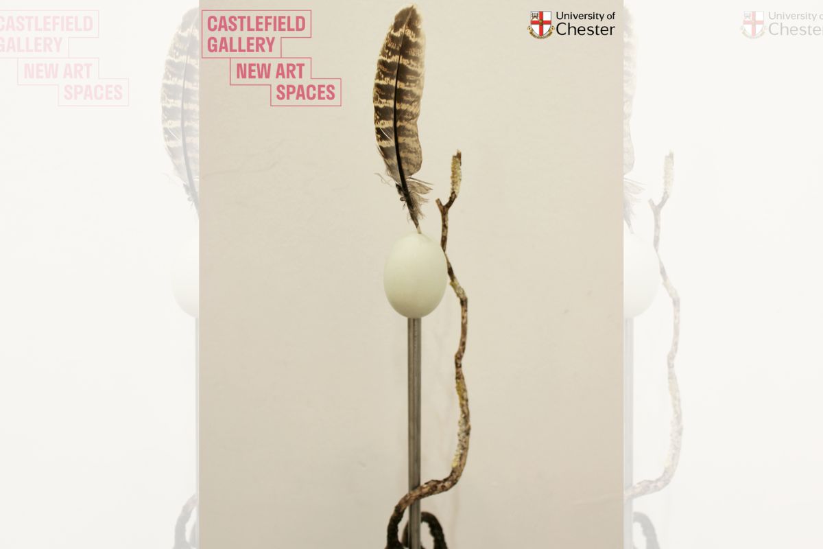 Estelle Woolley’s work will be available to view in the Grosvenor Shopping Centre from April 23.