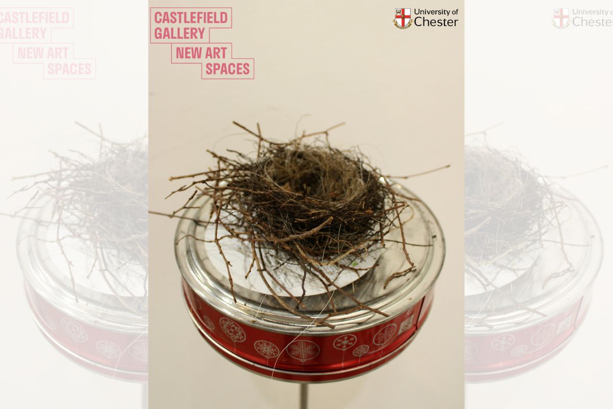 Estelle Woolley has received multiple awards for her work.