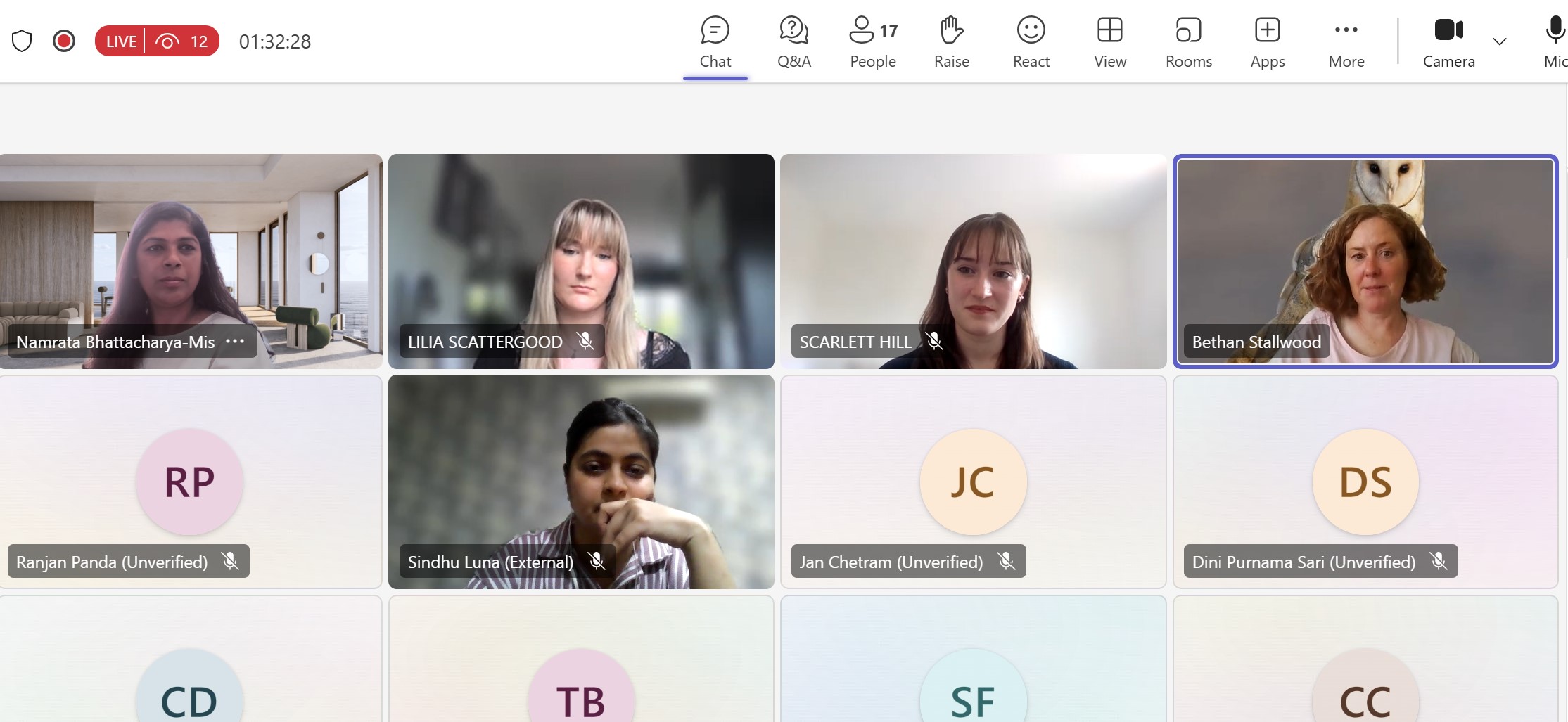 UN global webinar screenshot
