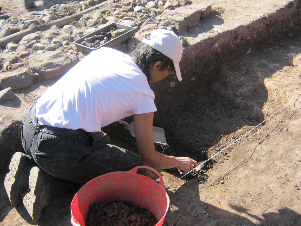 Excavating at the Grosvenor Park dig.