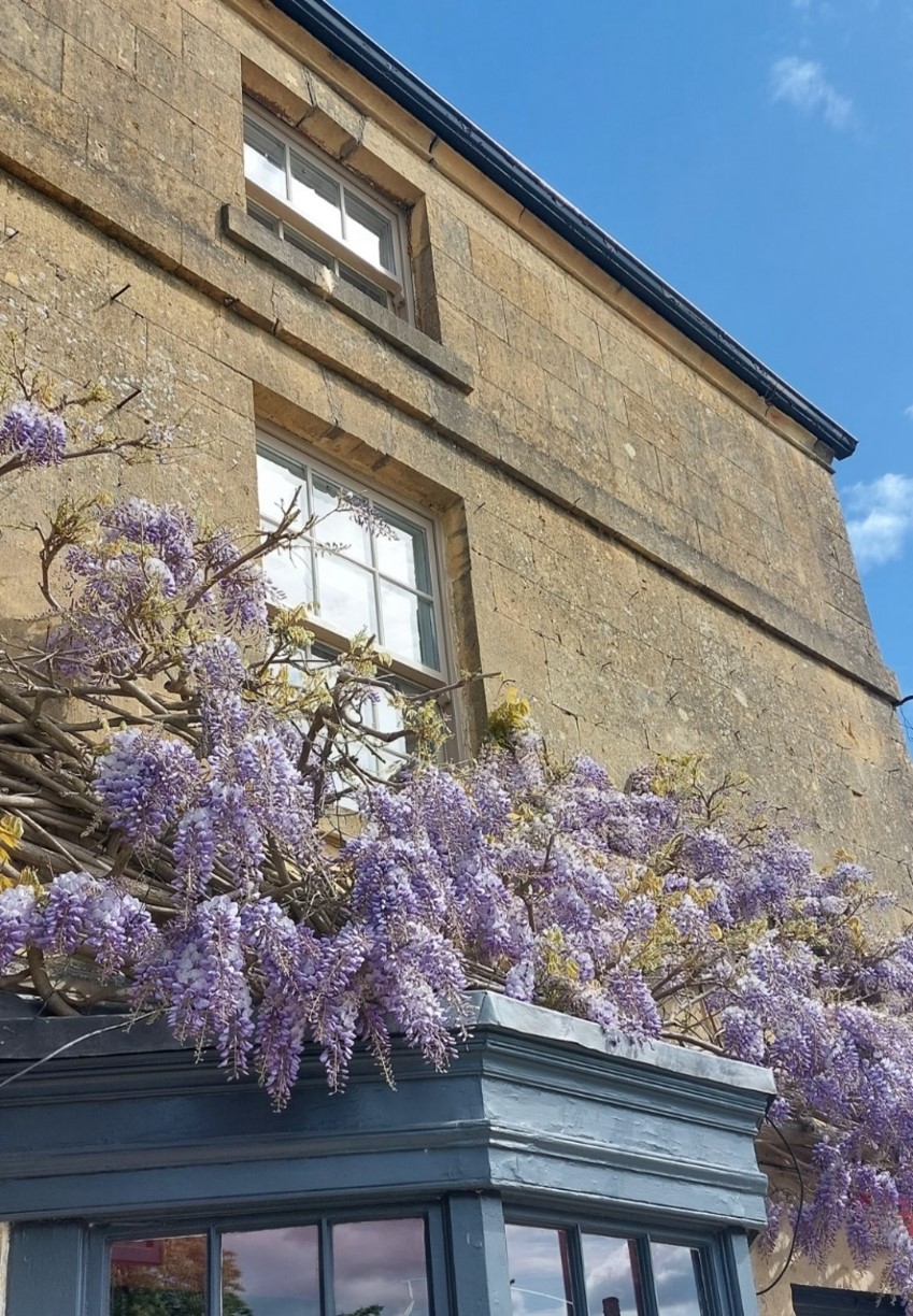 digital marketing blog