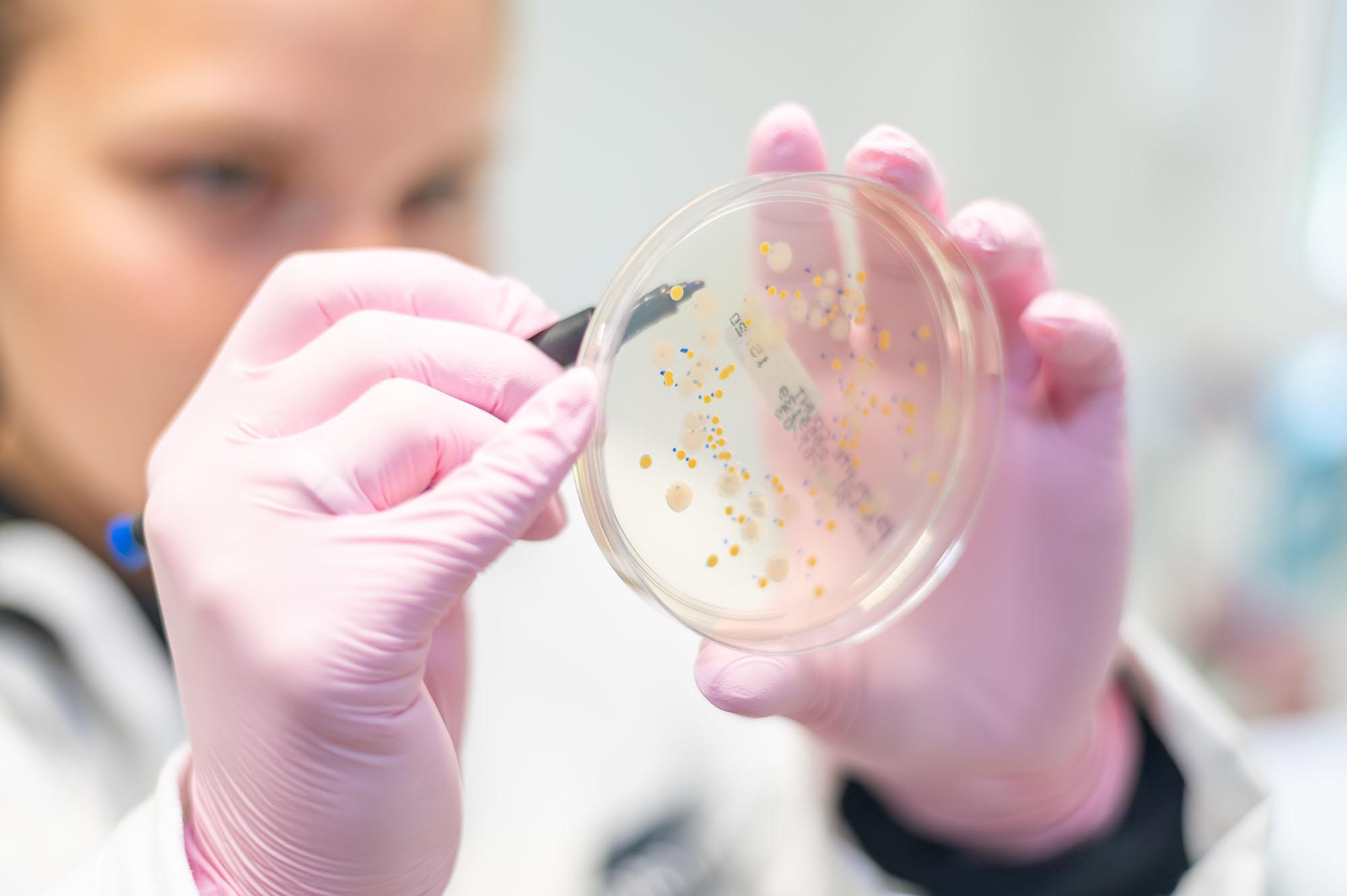 Course image for Bioveterinary Science (including Foundation Year) BSc (Hons)