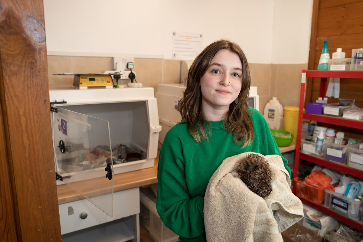Jackson's Animal Rescue Wildlife Centre, Katherine Whitfield
