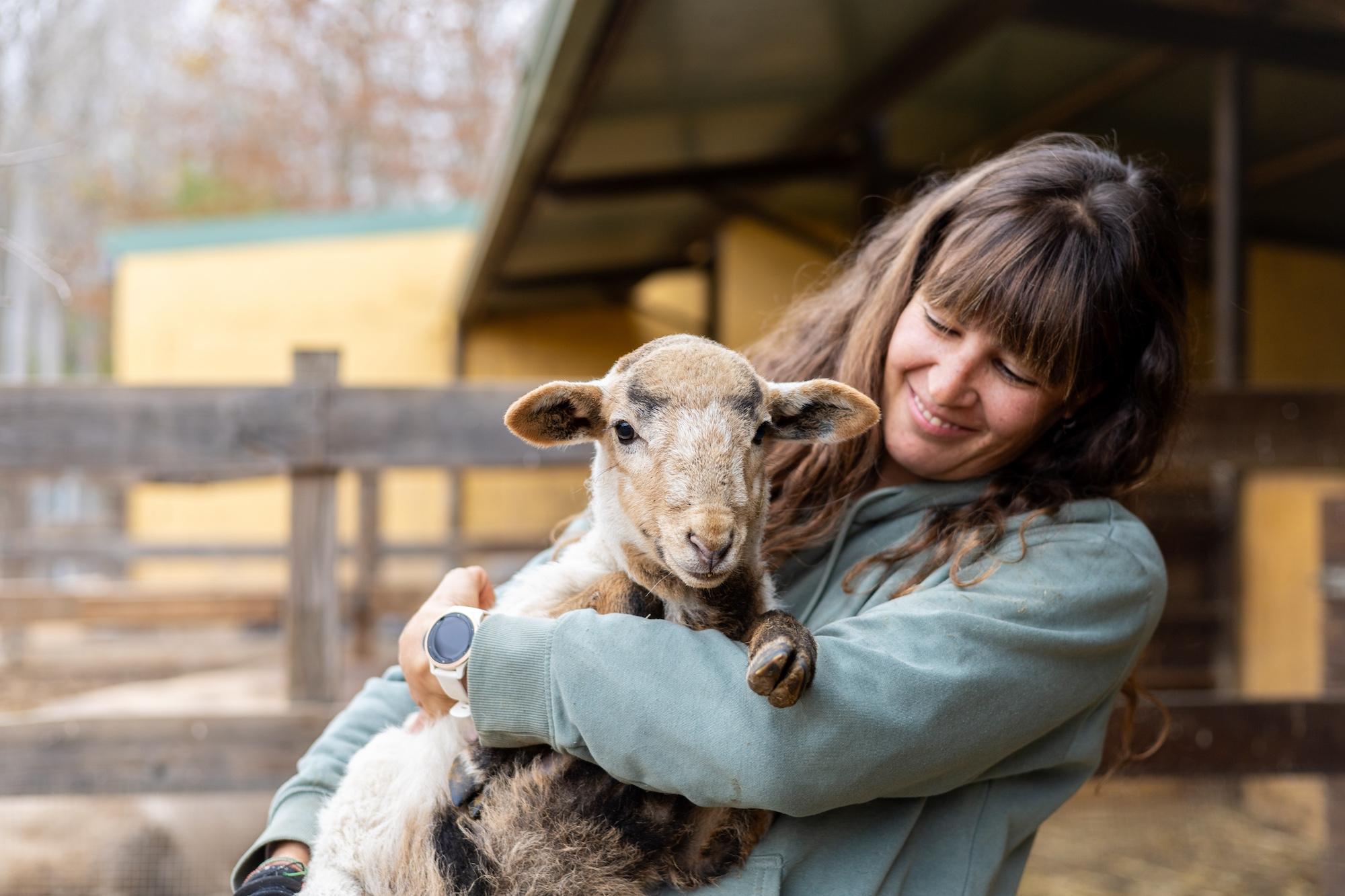Course image for Animal Welfare Science (including Foundation Year) BSc (Hons)