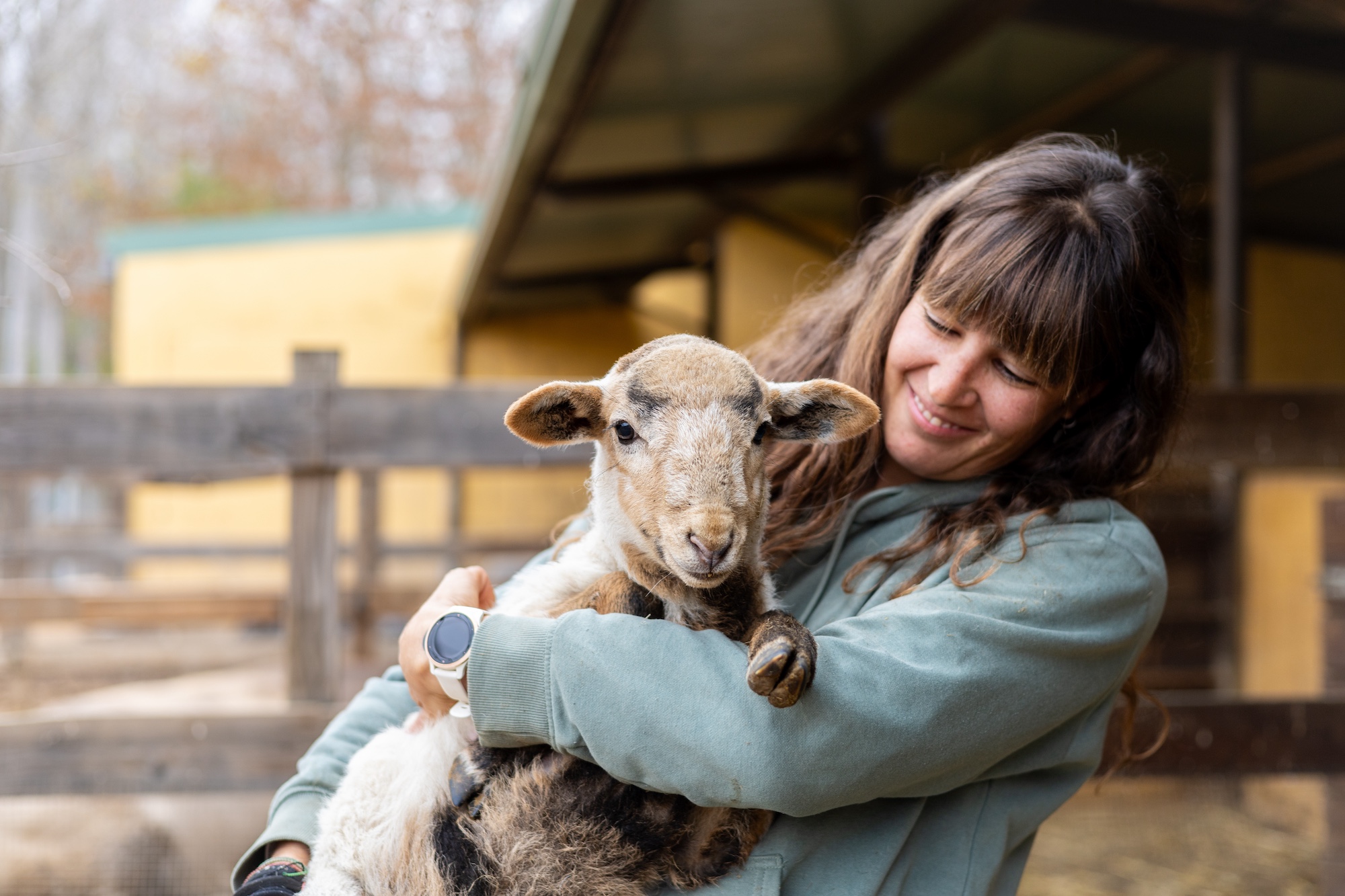 Course image for Animal Welfare Science (including Foundation Year) BSc (Hons)