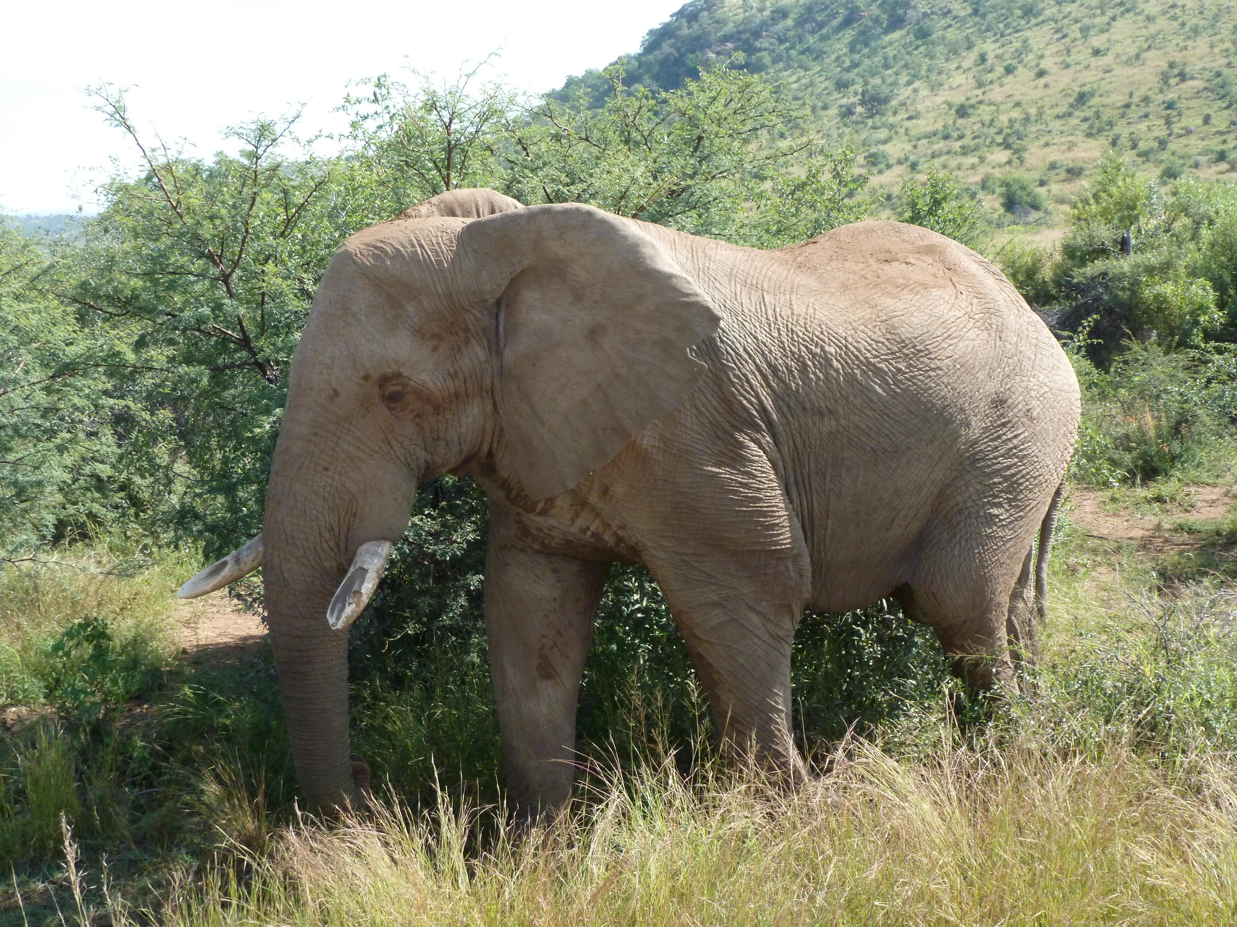 Course image for Animal Behaviour MSc