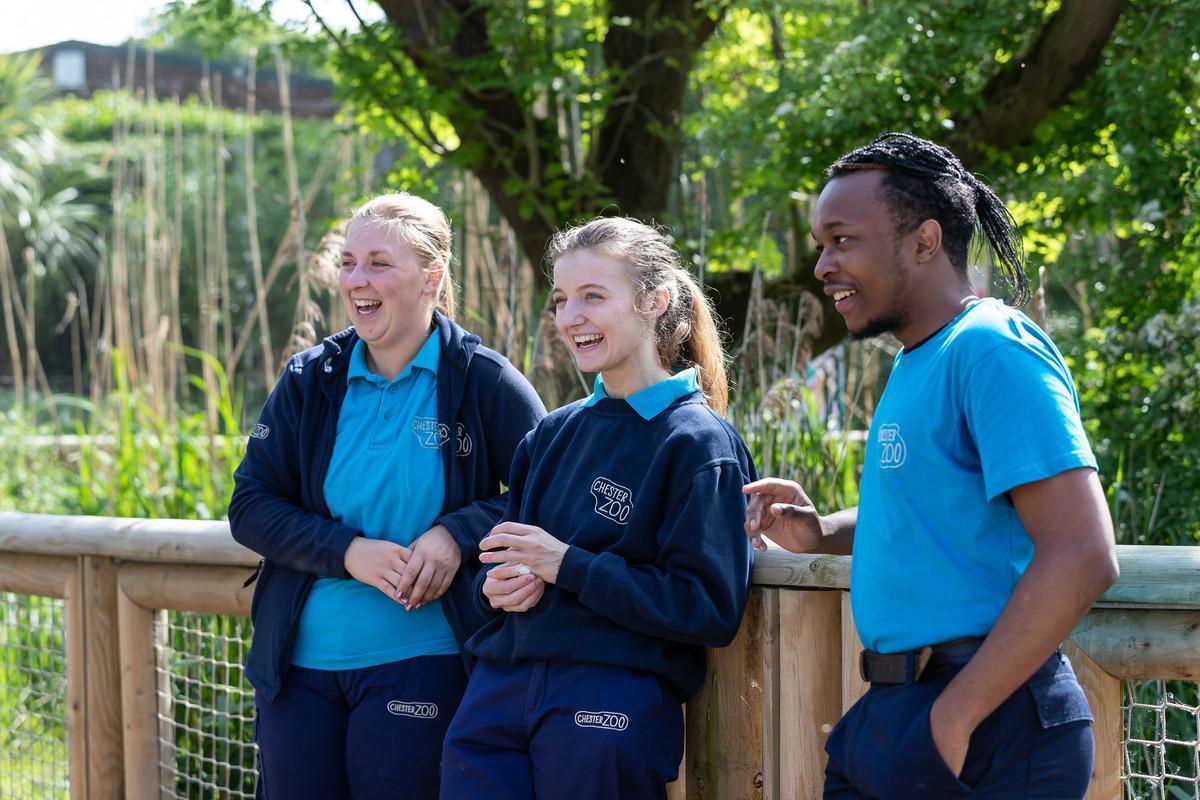 Course image for Animal Behaviour (including Foundation Year) BSc (Hons)