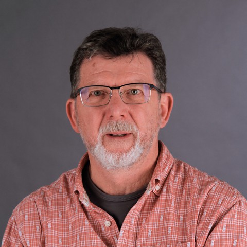Professor David Raffo
