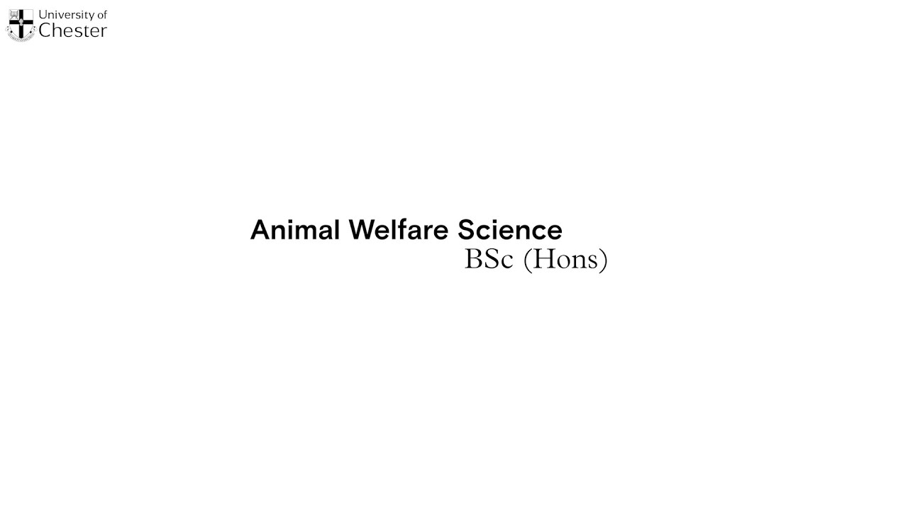 Animal Welfare Science BSc video