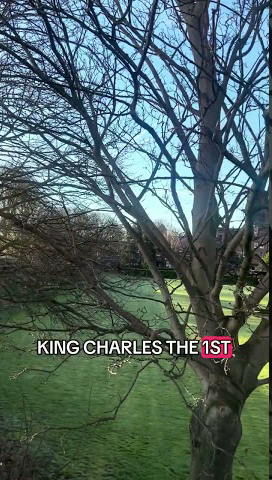 Video Image of student Bailey for a tour of historical places along Chester city walls!